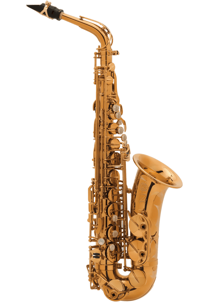 Selmer Paris Reference 54 Alto Saxophone - Dark Gold Finish – SAX Selmer Paris Reference 54 Alto Saxophone - Dark Gold Finish – SAX