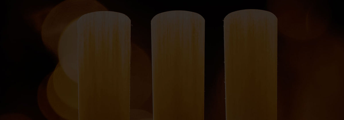 Saxophone Reeds – SAX