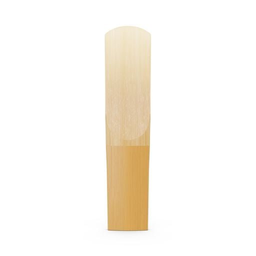 Alto Saxophone Reeds – SAX