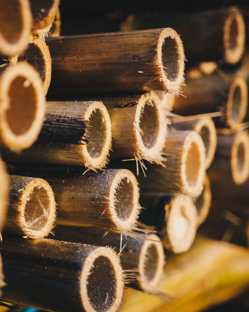 Marca UNIC JAZZ Tenor Saxophone Reed - SAX