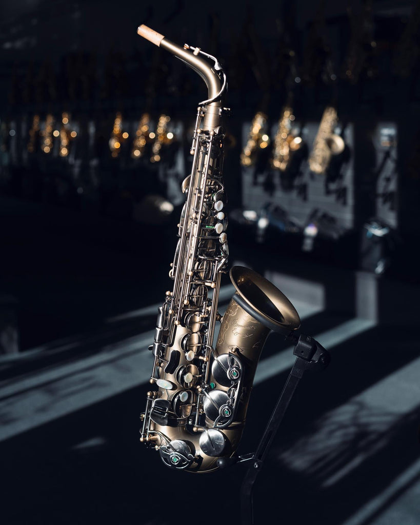 P Mauriat PMXA-67R Equinox Alto Saxophone - SAX