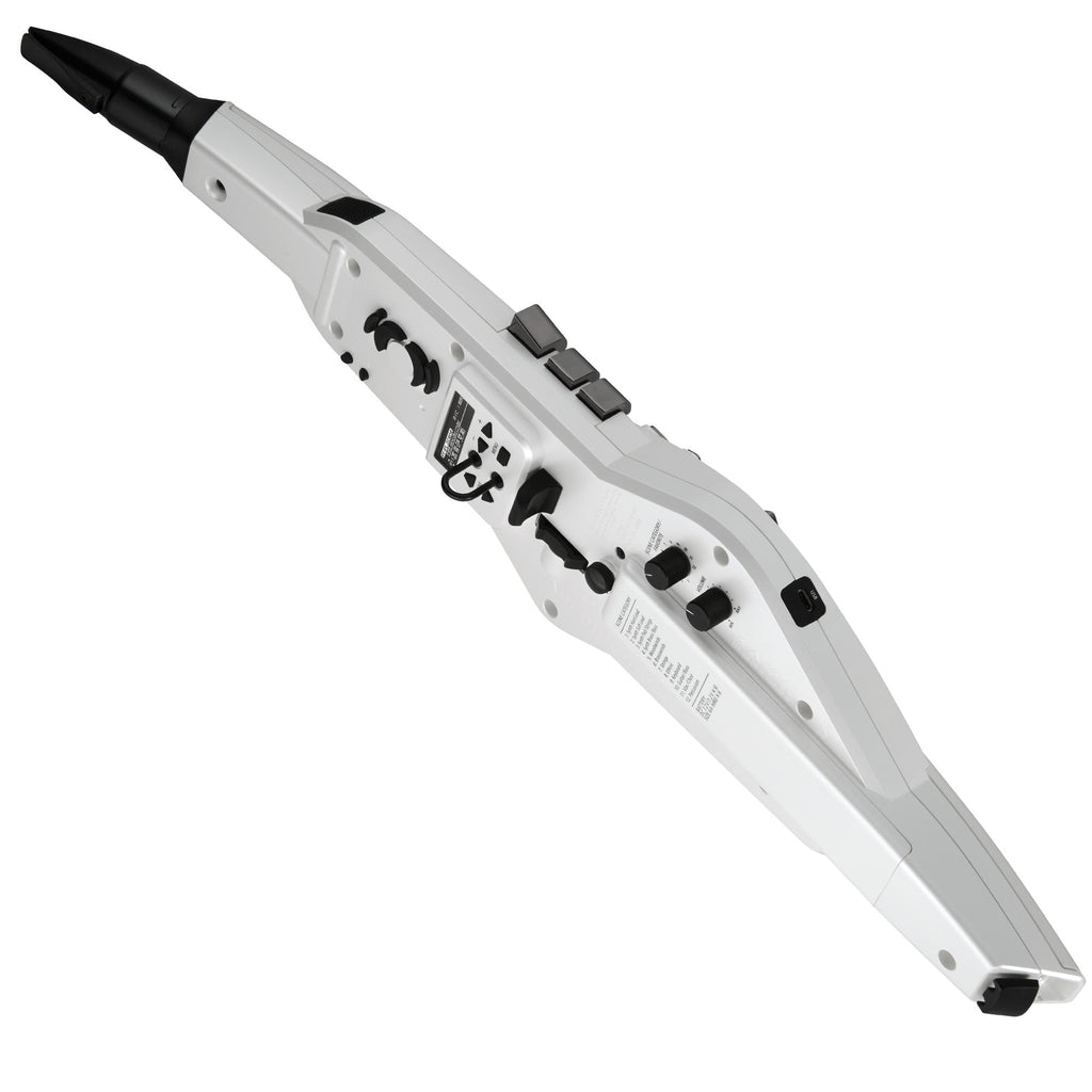 Roland AE-20 Aerophone Digital Wind Instrument - SAX