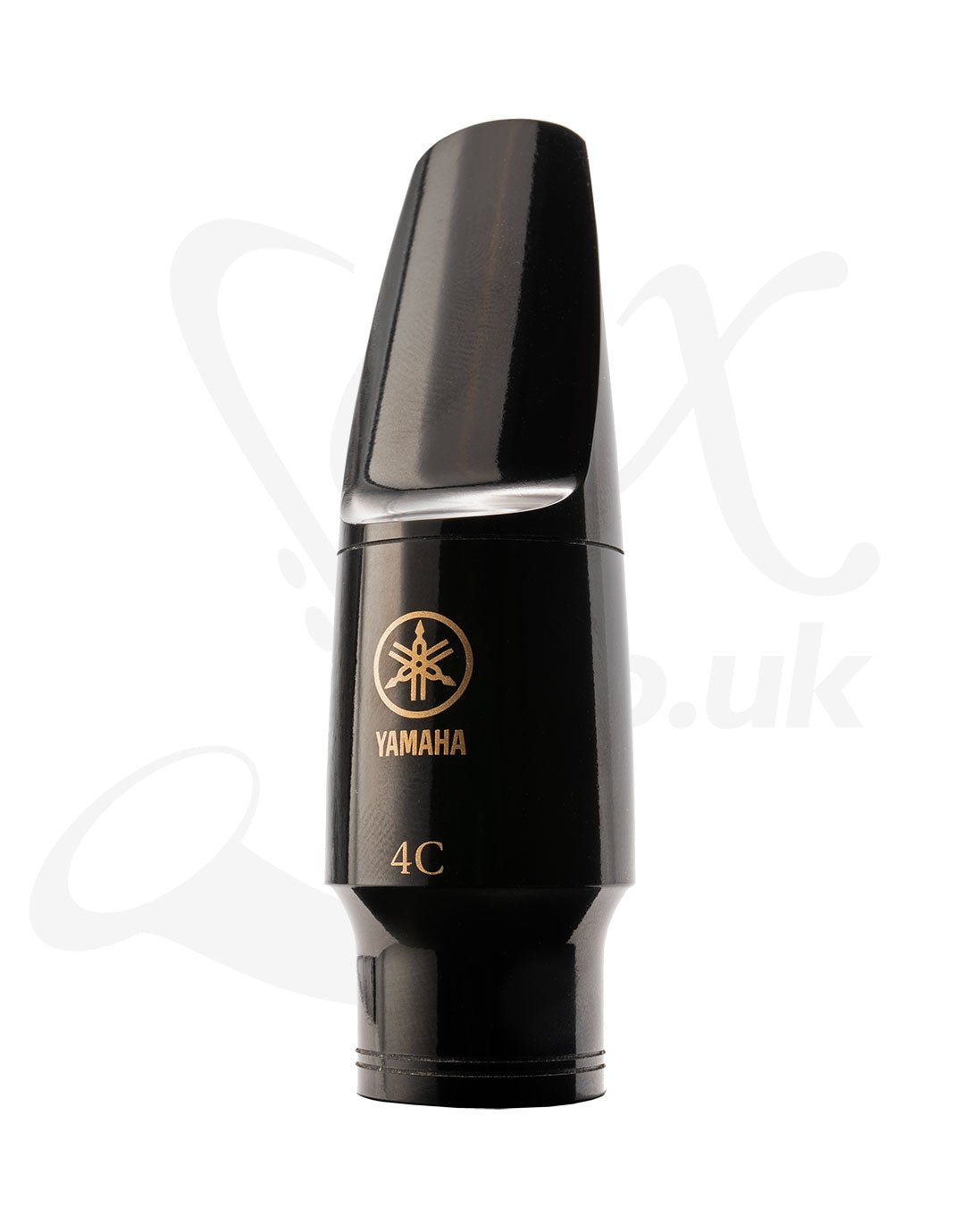 Sakkusu - Alto Saxophone - Gold Lacquer - The best student