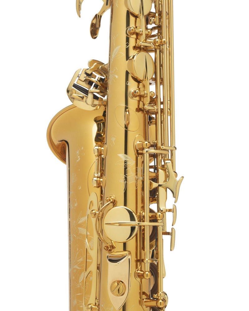 Selmer Paris ゴールドサックス ケース付き Selmer Paris ゴールドサックス ケース付き Selmer Paris ゴールド