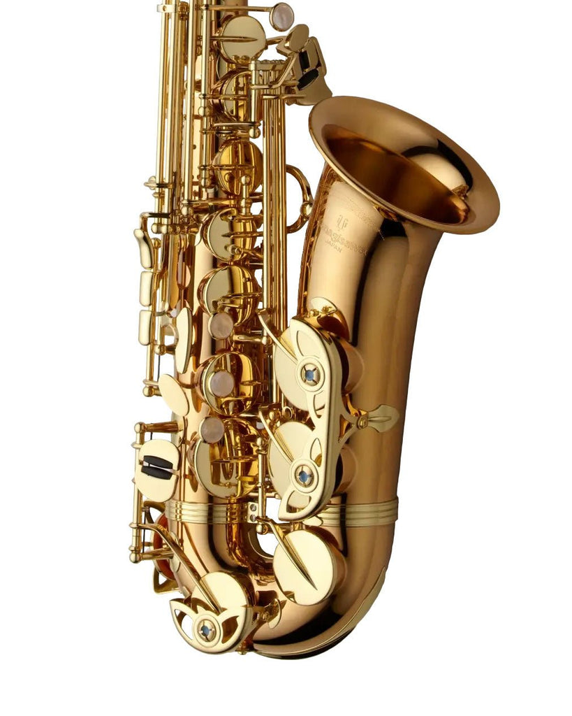 Yanagisawa AWO2 Alto Saxophone - Bronze - SAX