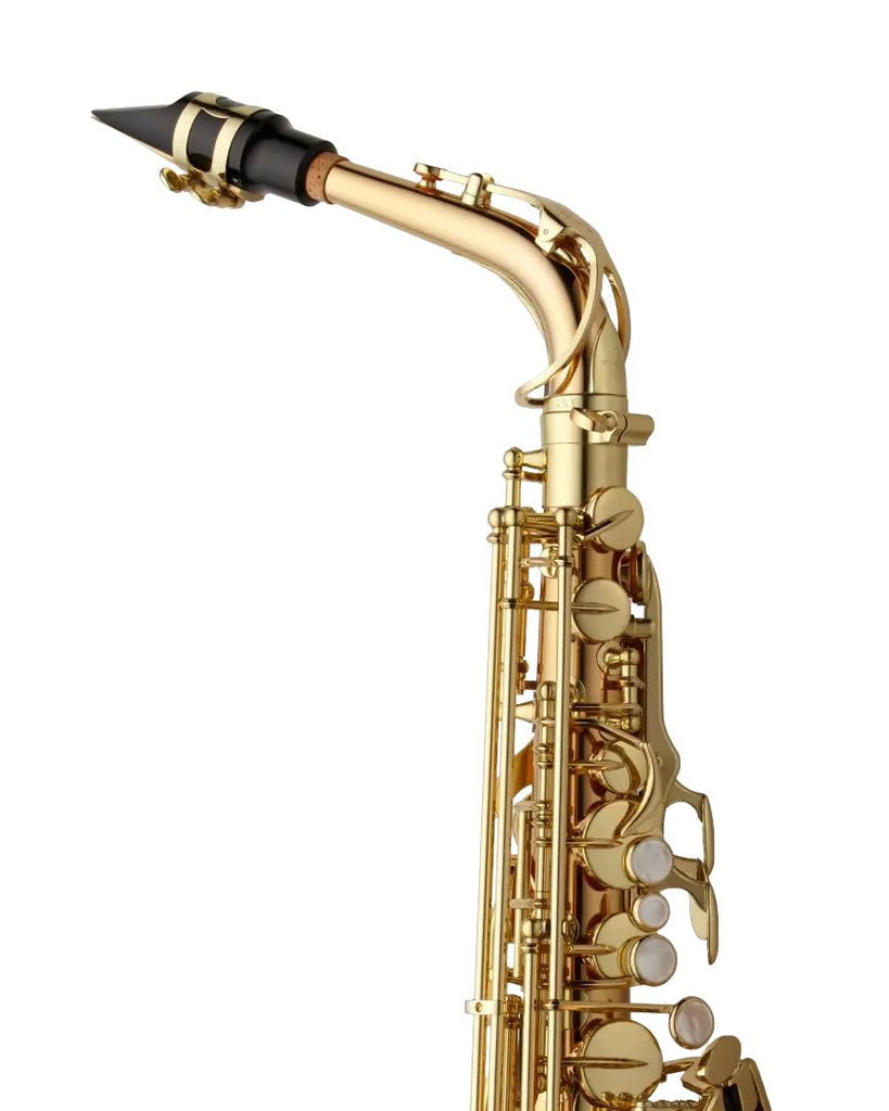 Yanagisawa AWO2 Alto Saxophone - Bronze - SAX