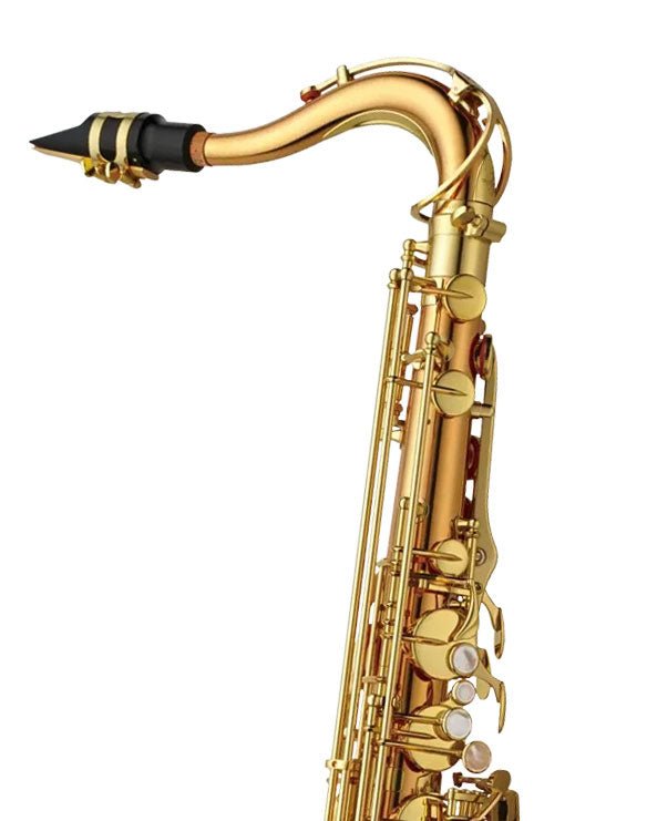 Yanagisawa TWO2 - Tenor Saxophone - Bronze - SAX
