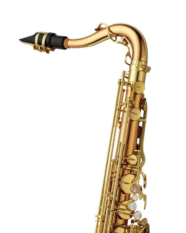 Yanagisawa TWO20U - Tenor Saxophone - Unlacquered Bronze - SAX
